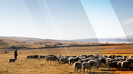 玻璃折射<strong>图文</strong>展示AE模版