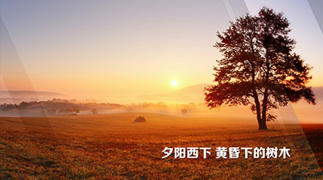 玻璃折射<strong>图文</strong>展示AE模版