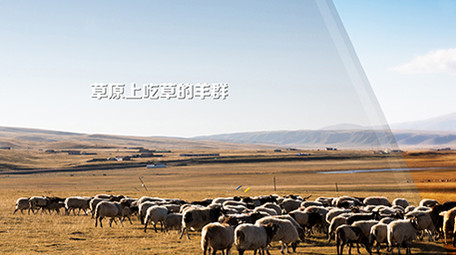 玻璃折射<strong>图文</strong>展示AE模版