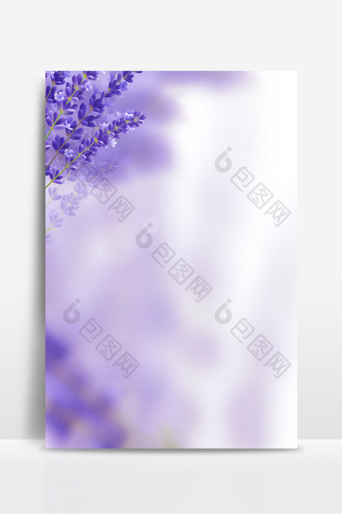 温馨紫罗兰花卉朦胧图片图片
