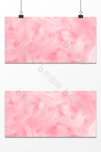 粉色羽毛温馨浪漫质感纹理女神节背景图片