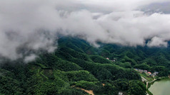 自然风光山间雨后云雾缭绕