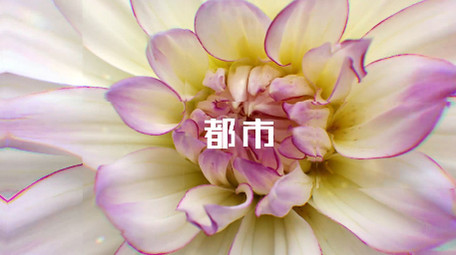 动感节奏快速踩踏快闪快切图文展示AE模板