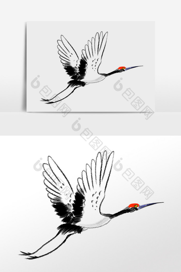 飞翔的丹顶鹤插画图片图片