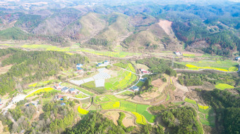 南方美丽乡村田园<strong>油菜花</strong>种植航拍