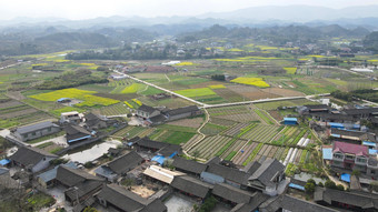 航拍春天乡村田园<strong>油菜花</strong>