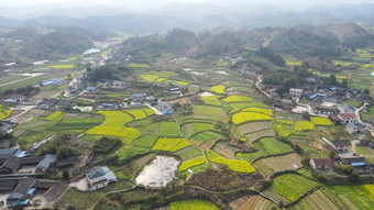 航拍春天乡村田园油菜花