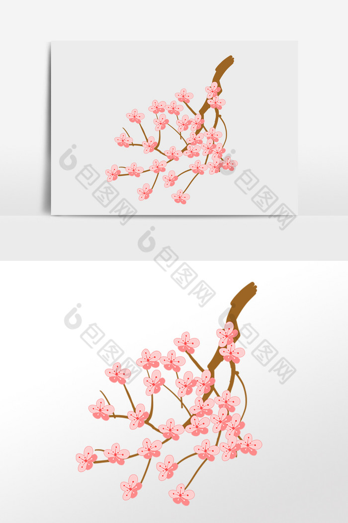 春天樱花花枝植物插画图片图片