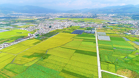 航拍秋天金色坝区景色超清视频素材