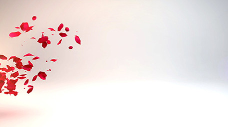 玫瑰花瓣妇女节片头展示AE模版