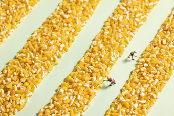 玉米碴微缩创意<strong>农民</strong>劳作图片
