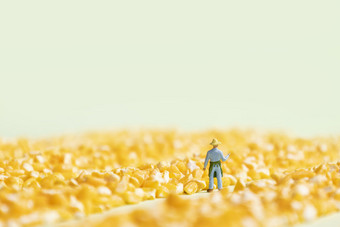 玉米碎农民<strong>丰收</strong>节微缩创意图片