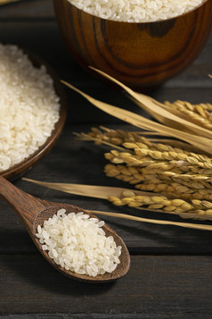 大米创意世界粮食日图片