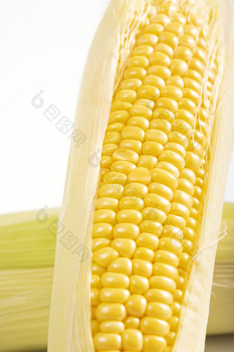 一根玉米白色底图