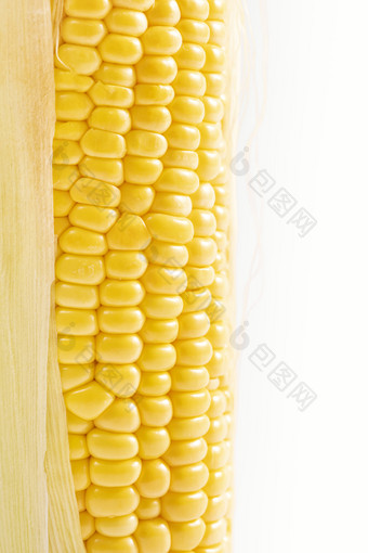 一根玉米特写白色背景