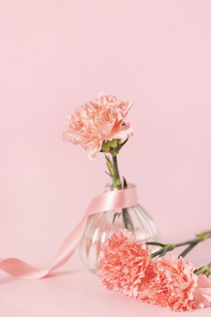 康乃馨花朵粉色背景