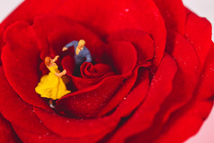 微缩创意玫瑰花上跳舞的情侣