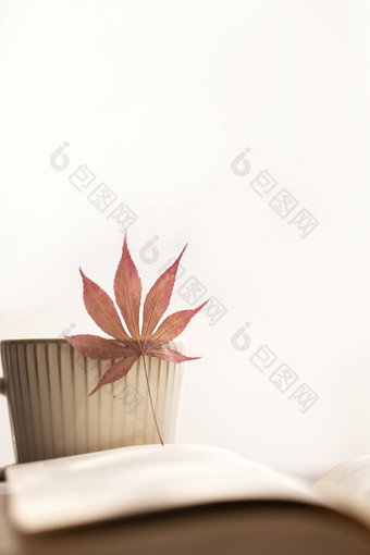 秋天枫叶咖啡逆光图片