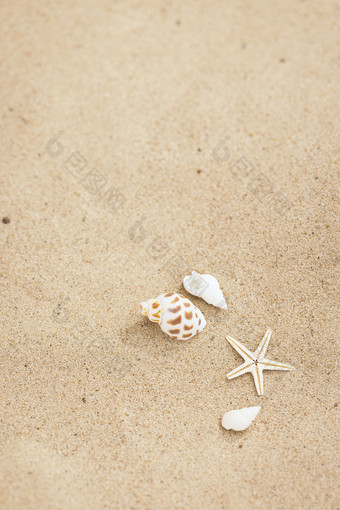 小贝壳创意夏日沙滩图片