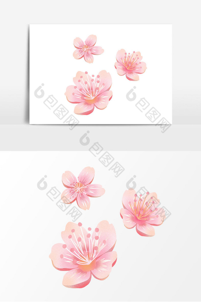 樱花黛粉的花瓣春天的樱花海图片图片
