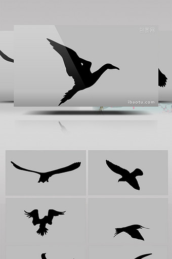13款alpha通道鸟儿飞翔剪影叠加素材图片
