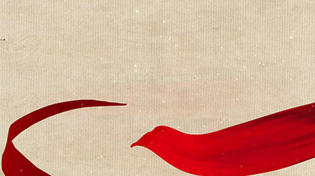 党政图文宣传大气恢弘绚丽会声会影模板