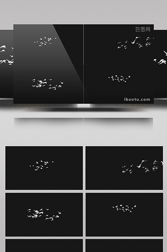 4组带通道群鸟飞过合成视频素材图片