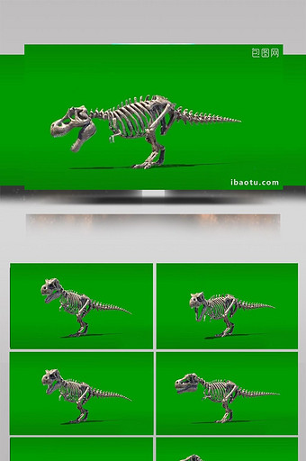 3D骷髅骨龙之霸气怒吼震撼绿幕简单素材图片