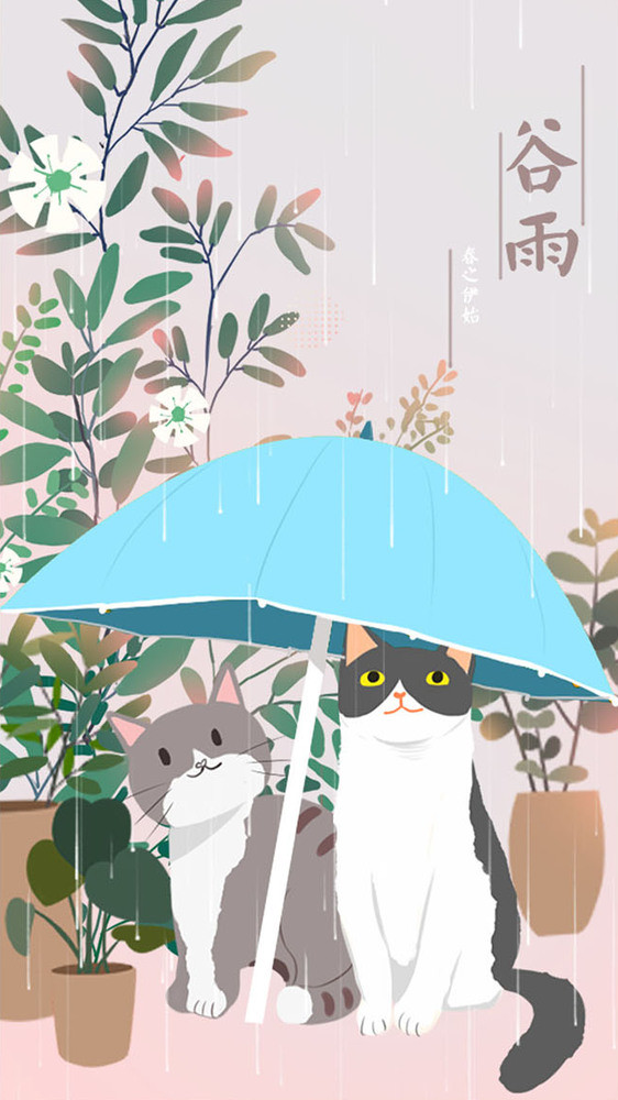 手绘可爱猫咪谷雨春日节气gif手机海报