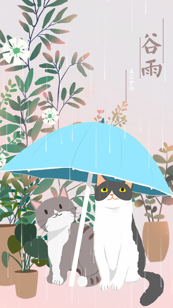 手绘可爱猫咪谷雨春日节气gif手机海报图片