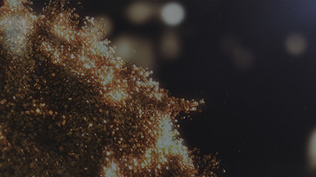 4K金色粒子蝴蝶LOGO片头 AE模板