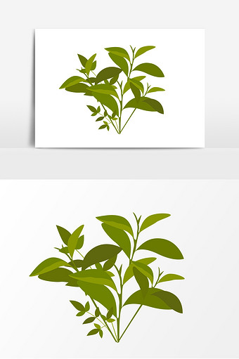 手绘茶叶