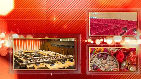 震撼大气红色党政图文演绎模板