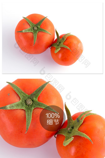 西红柿新鲜蔬菜可爱食材番茄白色高清大图图片