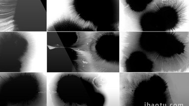 15组中国风水墨晕染转场视频素材