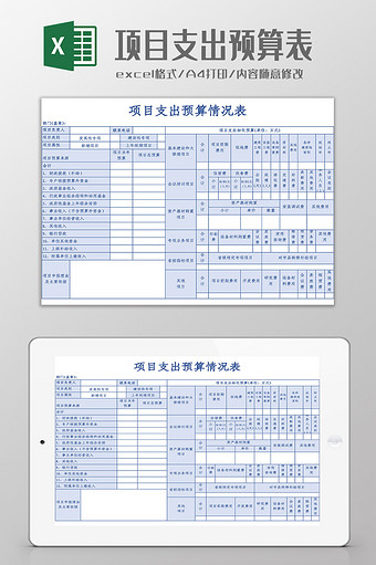 项目支出预算情况表Excel模板图片