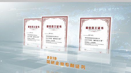 干净整洁<strong>企业</strong>荣誉证书展示ae模板