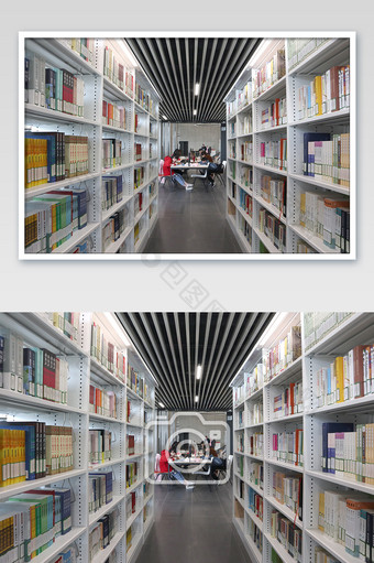 世界读书日图书馆看书的人摄影图片