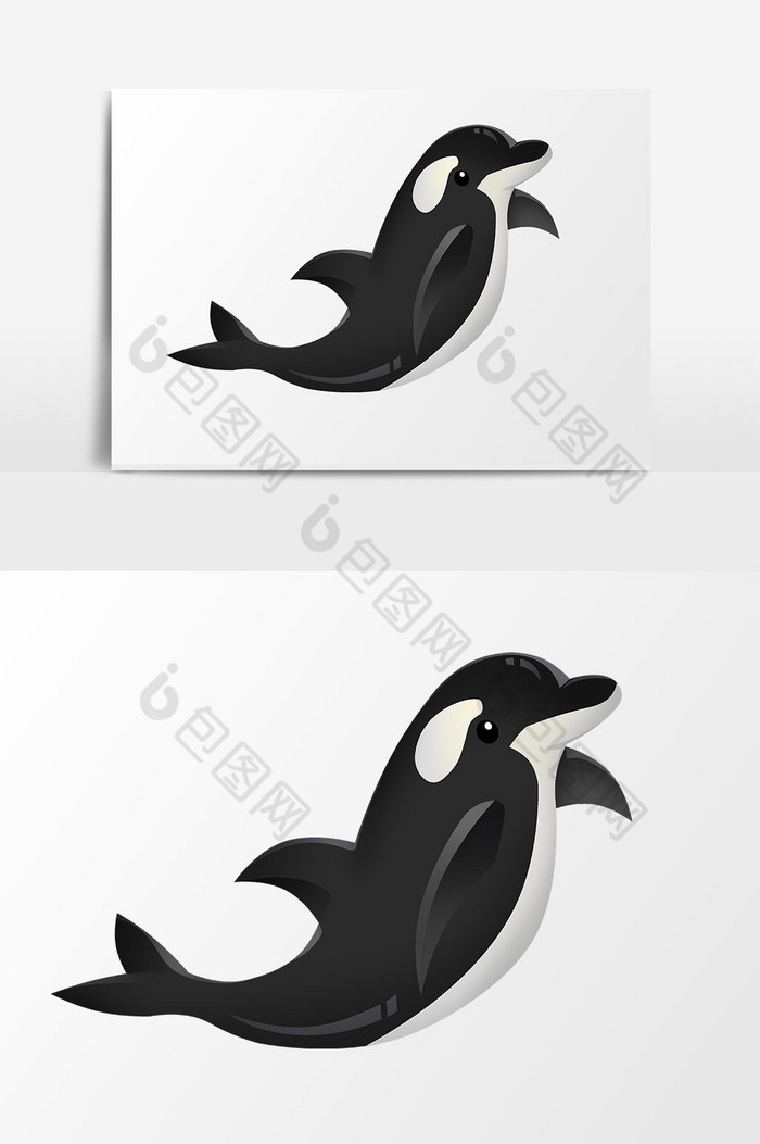 海洋生物海豚图片图片