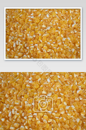 玉米渣高清实拍图图片