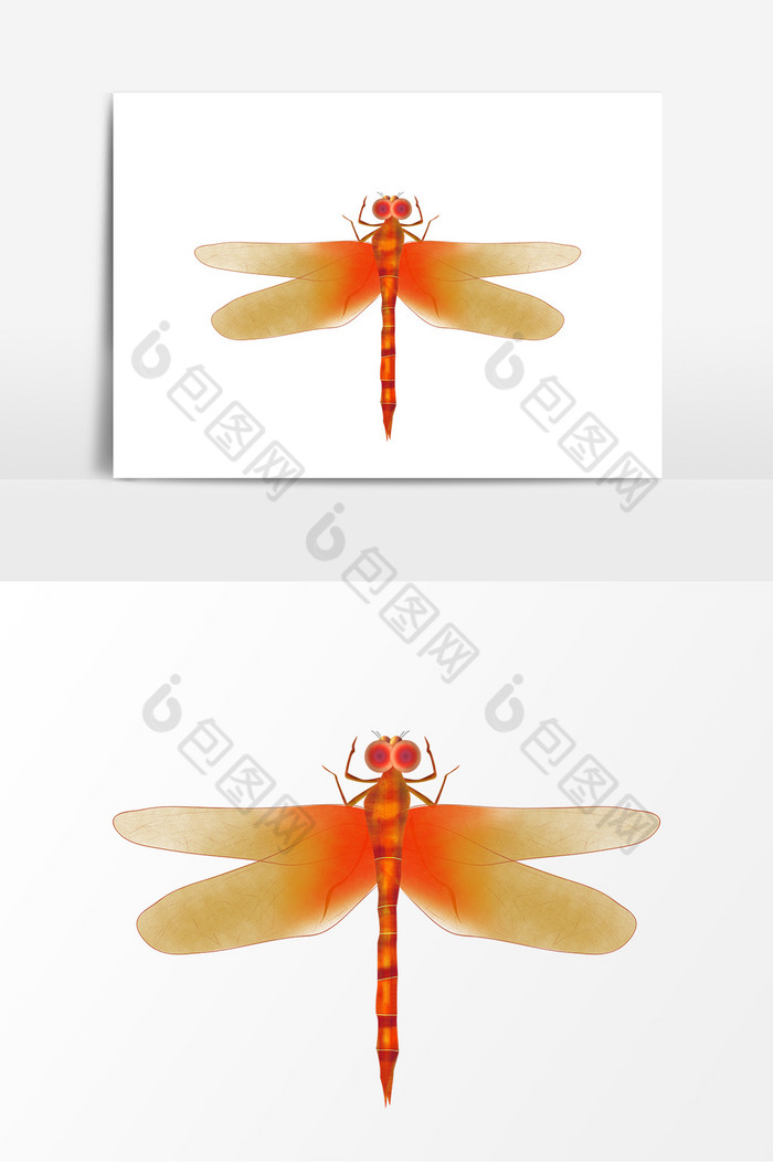 昆虫动物蜻蜓飞翔动物蜻蜓图片图片