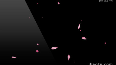 粉色花瓣中国风花瓣飘落风吹 透明通道