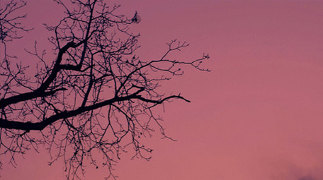 <strong>乡村</strong>夜幕晚霞实拍视频素材 背景素材