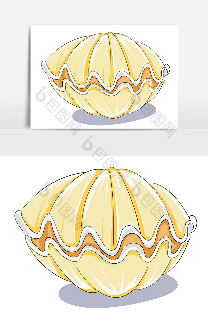 海洋贝壳形象图片图片