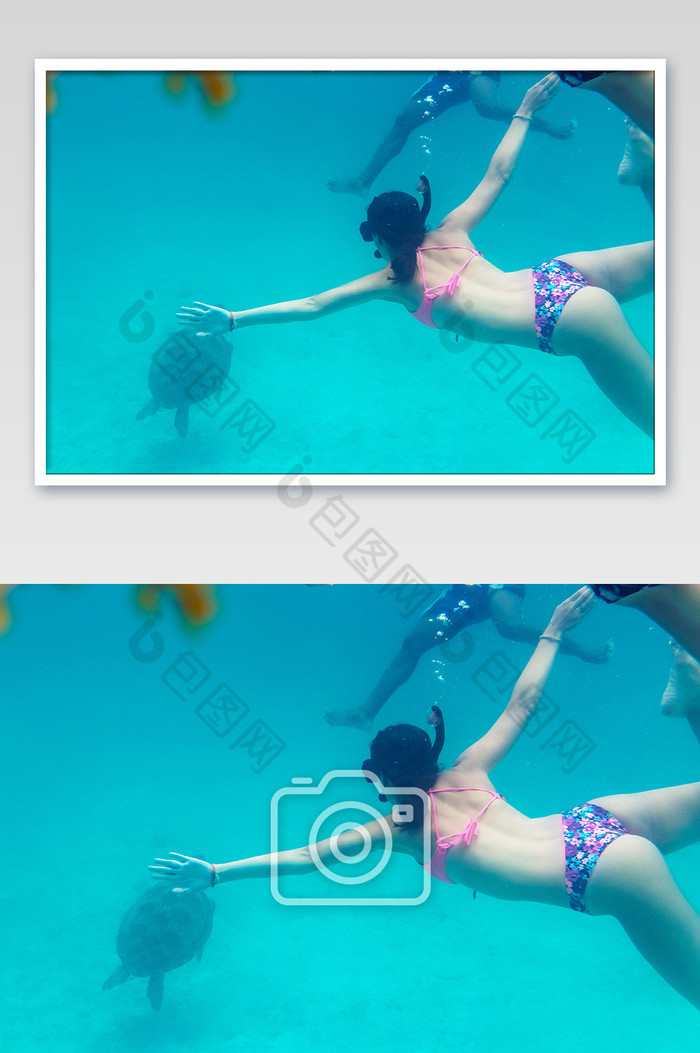 美女潜水海龟合影摄影图图片图片