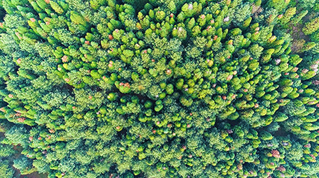 航拍漂亮的森林一角4k视频素材