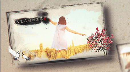 中国风优雅花瓣水墨图文AE模板