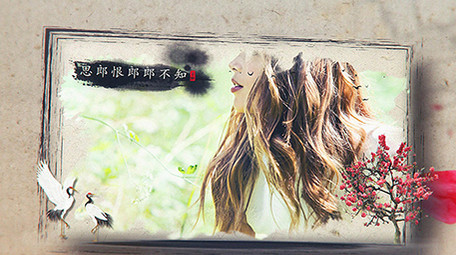 中国风优雅花瓣水墨图文AE模板