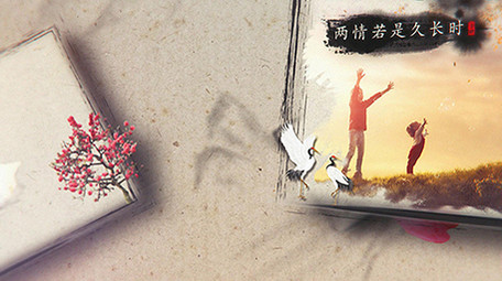 中国风优雅花瓣水墨图文AE模板