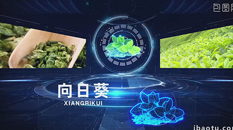 震撼科技<strong>图文</strong>展示扫描解析AE模板